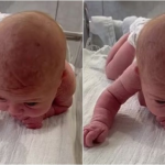 First-time mom is stunned when newborn baby lifts her head and crawls across the hospital cot