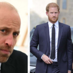 Prince William was “concerned” about Harry dating Meghan