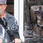 Mel Gibson shares sad truth after fire destroys his home